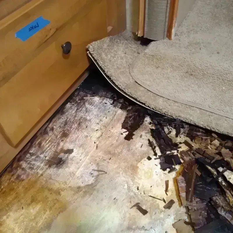 Best Wood Floor Water Damage Service in Washington County, ME